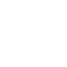 FLIGHT icon